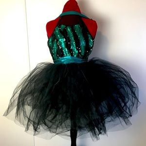 Ballerina Tutu Costume